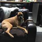 Dale Fleury - @dale.fleury.169 - Instagram