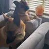 daleflintoff105 - @daleflintoff105 - TikTok