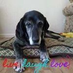 Dale Floyd - @dale.floyd.51 - Instagram