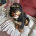 Dale Foreman - Facebook