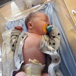 Dale Forrest - @dale.forrest.963 - Instagram