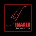 Dale Forrest - @daleforrestimages - Instagram