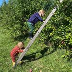 FORREST DALE - @forrest_dale_ - Instagram