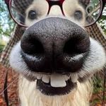 Dale Fraley - @dale.5589 - Instagram