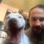 Dale Frame - @dframe666 - Instagram