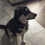 Dale Fredrickson - @dalefredrickson - Instagram