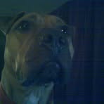 Dale Fredrickson - Facebook