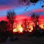 Dale Frey - @dalefrey1 - Instagram