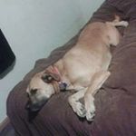 Dale Gardner - @dale.gardner.9421 - Instagram