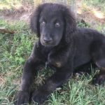 Dale Garrett - @imperialpaledale - Instagram