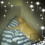 Dale Garrett - @dale.garrett.5688 - Instagram