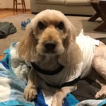 Dale Goldsmith - @dale_goldsmith - Instagram