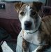 Dale Goldsmith - Facebook