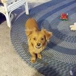 Dale Gragg - @dale_gragg - Instagram