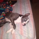 Dale Gragg - @gragg634 - Instagram