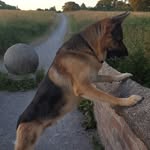 Dale grainger - @dalegrainger3229d - Instagram