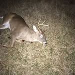 Dale Grey - @dale73023 - Instagram