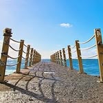 Dale Grimes - @dalegrimes728310 - Instagram