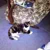 Dale Groff - @dale.groff2 - TikTok