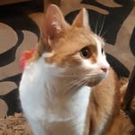 Dale Guy - @daleguy78 - Instagram