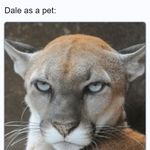 Dale Hackett - @whtmtnspirit - Instagram