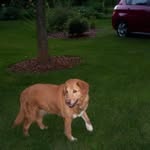 Dale Hamm - @dale__hamm18 - Instagram