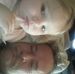 Dale Hammonds - Facebook