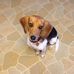 Dale Hammonds - Facebook