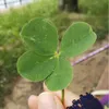 HARADA - @harada5963 - TikTok