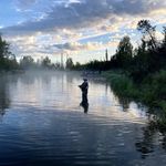 Dale Harkins - @dale.harkins.77 - Instagram