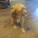 Dale Harrison - Facebook