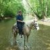 Dale Harrison - Facebook