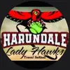 harundalehawks0 - @harundalehawks0 - TikTok