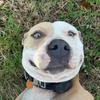 Dale Head - @dale.head6 - TikTok