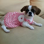 Richard Dale Head Jr. - @headjr.richard - Instagram