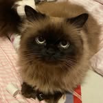 Dale - @dale._.helm - Instagram