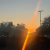 Herrondale123 - @herrondale1475332 - TikTok