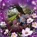 Dale Hooper - Facebook