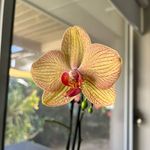 Dale Irving - @val40dale - Instagram