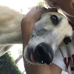 Dale Junior - @bocsdalejunior - Instagram