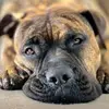 Keith Dale - @keith.dale4 - TikTok