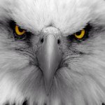 @dale_kent_ - Instagram