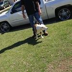 dale kern - @kern.dale - Instagram