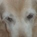 Dale Ketcham - Facebook