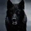 Killian_Dale - @killian_dale - TikTok