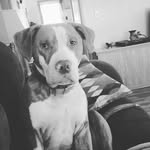 Dale Kiser - @dale.kiser.35 - Instagram