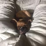 Dale Lemberger Klein - @dale.l.klein - Instagram