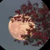 kulpash - @dalelkulpash - TikTok