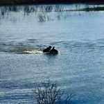 Carrie Dale LaBorde Dionne - @labordedionne - Instagram