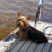 Dale Ross LaPierre - Facebook